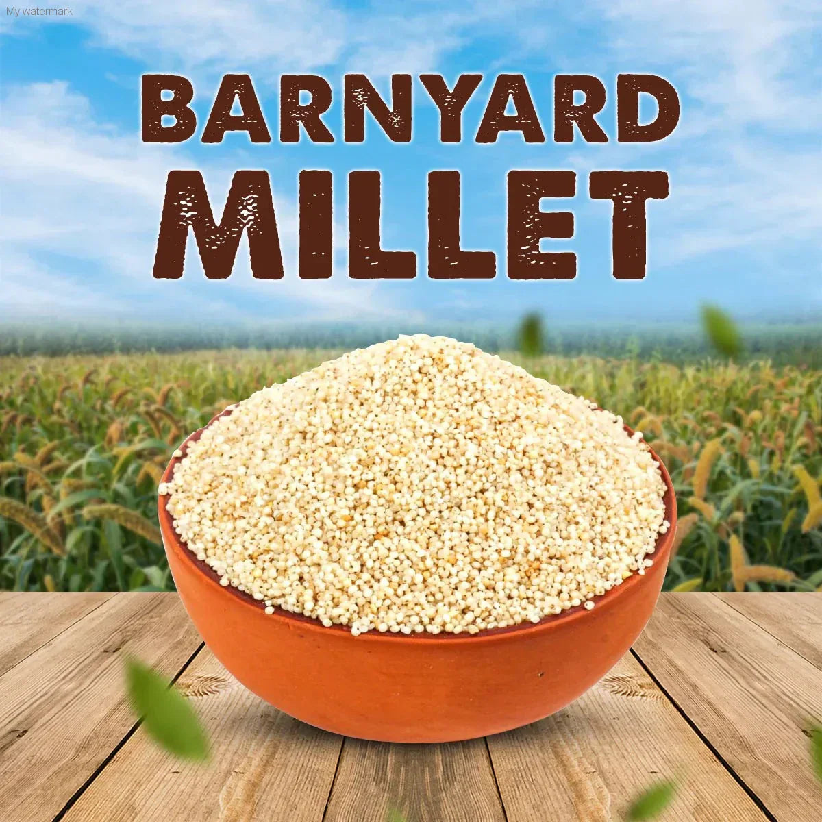 SUTRA Barnyard Millet (ಊದಲು)|Whole Grain|Kangani High Plant Protein and Fibre|Sanwa Millet|Oodalu|Udalu|Kuthirai Vaali|Edible-SUTRA 