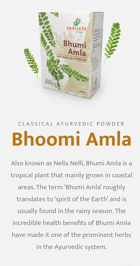 Parijata Herbs Bhumi Amla/Nelanelli Powder | Ayurvedic Liver Detox Herb