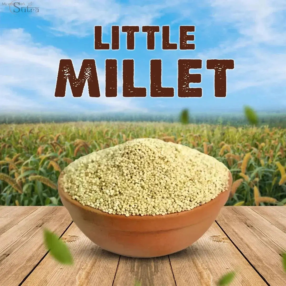 Sutra Little Millet (Kutki | Samai) | Natural & Healthy Grains for WelLittle Millet