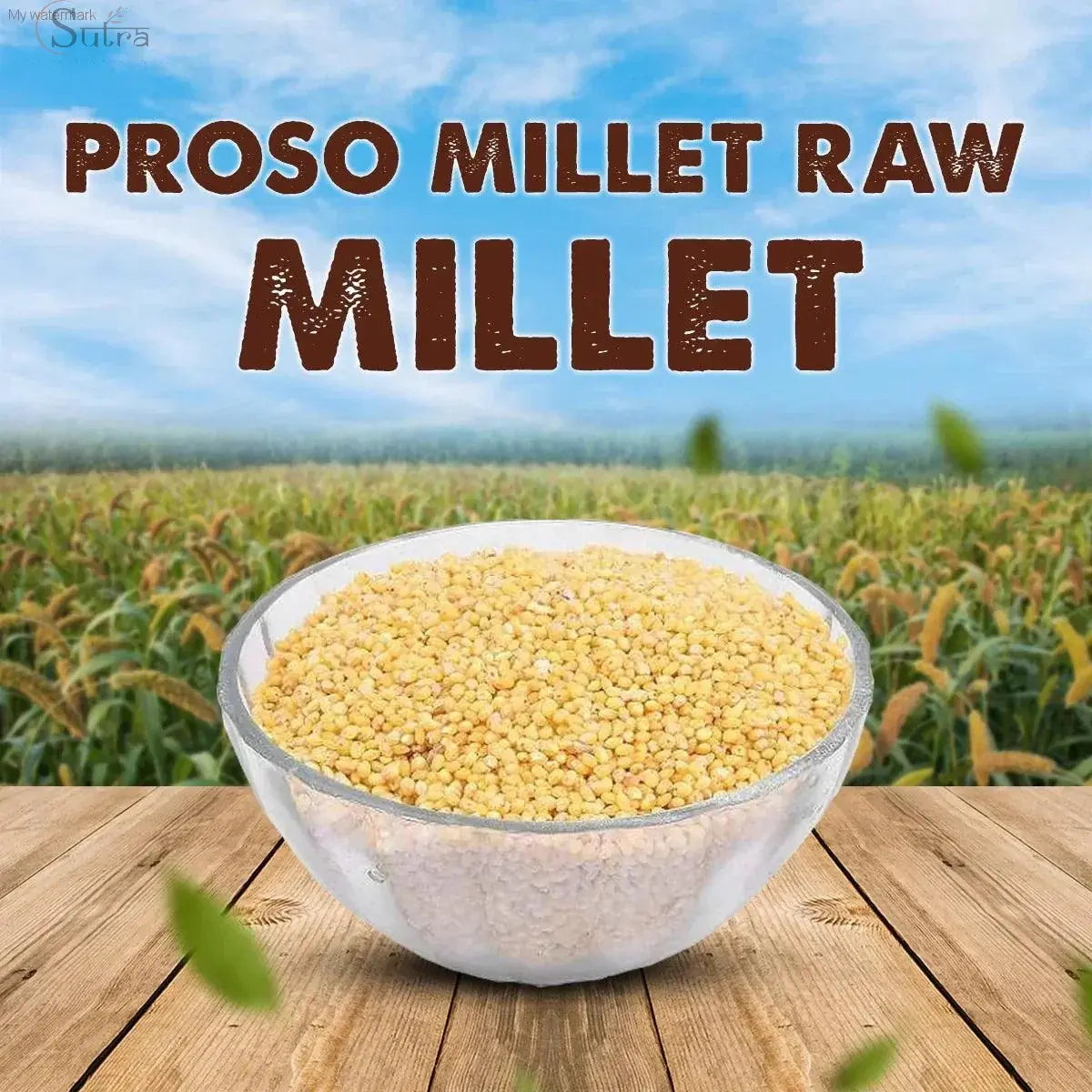 Sutra Proso Millet (Baragu Seeds) | Nutritious Superfood for Healthy MSUTRA Proso Millet