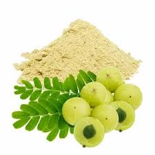 Parijata Herbs Amla Powder | Ayurvedic Hair Growth & Scalp Care