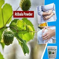 Parijata Herbs Atibala Leaf Powder | Ayurvedic Strength & Wellness Tonic