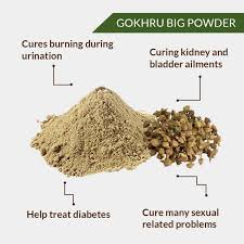 Parijata Ayurveda Gokhru Powder | Tribulus Terrestris for Strength & Vitality