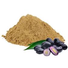 Parijata Herbs Jamun Seeds Powder | Ayurvedic Diabetes & Digestion Support