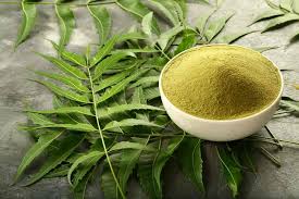 Parijata Herbs Neem Powder | Natural Skin & Detox Support