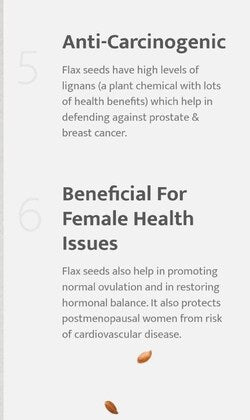 Parijata Flax Seeds | High Fiber & Omega-3 for Heart & Gut Health